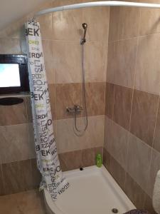 a bathroom with a shower with a toilet and a tub at Apartment Labud in Legrad