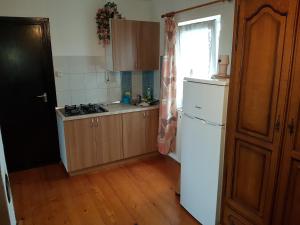 a kitchen with a white refrigerator and a window at Apartment Labud in Legrad