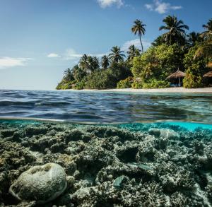 Galeriebild der Unterkunft ROBINSON MALDIVES - Adults only in Gaafu Alifu Atoll + 122 Fotos