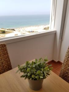 eine Pflanze, die auf einem Tisch vor einem Fenster sitzt in der Unterkunft Marisol Apt Algarve in Armação de Pêra