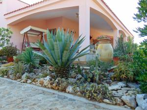 En hage utenfor I Giardini Dell'Agave