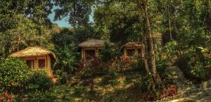 Zahrada ubytování Oasis Koh Chang