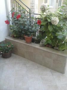 Zahrada ubytování Apartments Šime
