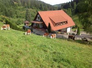 a herd of cows grazing on a hill in front of a house at Holzbildhauerei Kammerer in Triberg