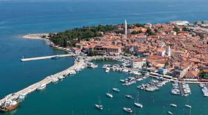 an aerial view of a harbor with boats in the water at Rooms Neda in Izola +5 photos