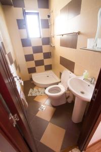 La salle de bains est pourvue de toilettes et d'un lavabo. dans l'établissement Casa Mara, à Tulcea