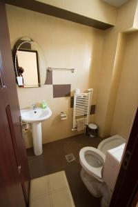 La salle de bains est pourvue de toilettes et d'un lavabo. dans l'établissement Casa Mara, à Tulcea