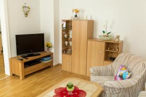 een woonkamer met een tv en een stoel bij Ferienwohnung Schermer in Rinteln