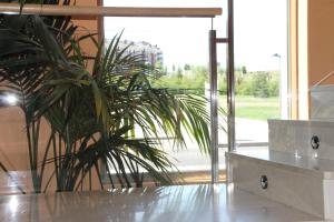 Fotografia z galérie ubytovania Apartahotel Ribera v destinácii Arroyo de la Encomienda + 13 fotografií