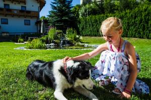 Domáce zviera alebo zvieratá hostí v ubytovaní Alberts Bellevue Appartements