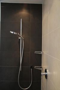 y baño con ducha con cabezal de ducha. en Alberts Bellevue Appartements, en Nauders