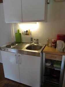 a kitchen with a sink and a counter top at Studio-Ferienwohnung Hans Fässler in Appenzell