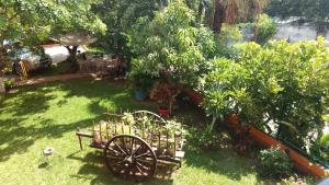 un jardín con una carreta en el césped en Real del Ambar, en Tuxtla Gutiérrez