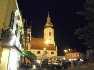 Afbeelding uit fotogalerij van Gasthof Restaurant Zum Brauhaus in Hartberg +26 foto's