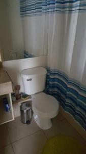 y baño con aseo y cortina de ducha. en Departamento Laguna Vista Algarrobo, en Algarrobo