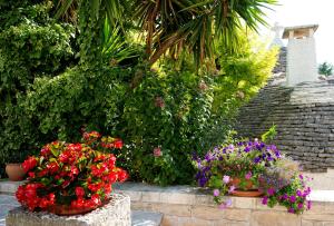 Zahrada ubytování Trullo Giardino Fiorito