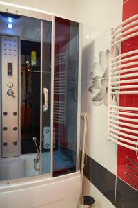 ein Bad mit einer Dusche und einem Glasschrank in der Unterkunft Centrum Luxus Apartman in Makó