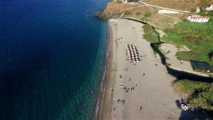 una vista sulla spiaggia con un gruppo di persone di Ikaria Utopia - Cusco Studios a Evdilos
