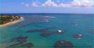 Fotografie z fotogalerie ubytování Beach front apartment in Luquillo v destinaci Luquillo