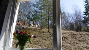Fotografia z galérie ubytovania Všemina Apartman v destinácii Lužkovice