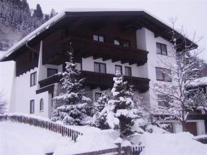 duży budynek z pokrytymi śniegiem drzewami przed nim w obiekcie Gästehaus Hochwimmer w mieście Hollersbach im Pinzgau