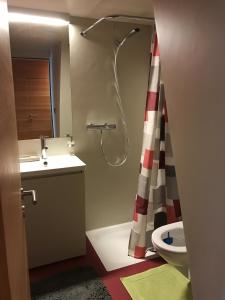 Kylpyhuone majoituspaikassa Chalet Le Biolley