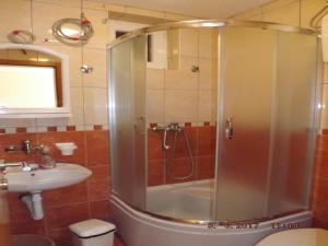 un bagno con doccia e lavandino di Apartments Marija a Divčibare