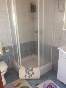 een badkamer met een douche, een toilet en een wastafel bij Dragica Apartments in Vrsi