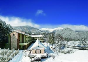 Το Komagane Kogen Resort Linx τον χειμώνα