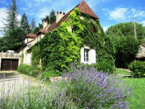 an ivy covered house with a garden and purple flowers at Gîtes Coeur de Lot in Soucirac
