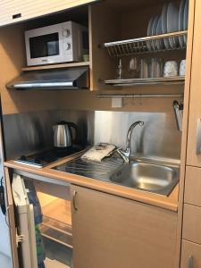 Η κουζίνα ή μικρή κουζίνα στο Lion Apartment Port