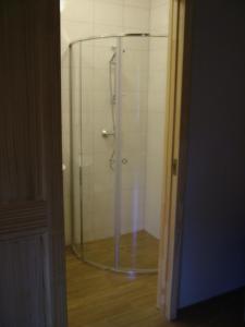 a shower with a glass door in a bathroom at Mill Hause Apart 1 in Druskininkai +35 photos