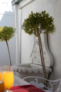 une table avec deux arbres devant un miroir dans l'établissement De Kothuize 18, à Graaff-Reinet