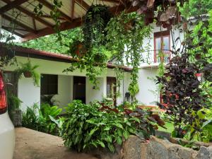 una casa con un montón de plantas delante de ella en Resort Beam, en Kandy