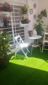 A garden outside Casa Dale