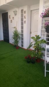 A garden outside Casa Dale