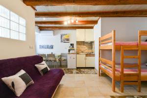 Kuchyňa alebo kuchynka v ubytovaní Studios Villa Romantica