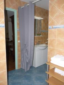 y baño con cortina de ducha y lavamanos. en Chambres d'Hôtes Le Baou, en Annot