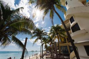 - un bâtiment sur la plage avec des palmiers et l'océan dans l'établissement Oceanfront el Faro Surf 302, à Playa del Carmen