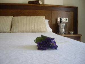 Postel nebo postele na pokoji v ubytování Hotel San Sebastián Hospedería