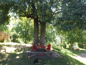 Giardino di Gogi Jafaridze's Guesthouse
