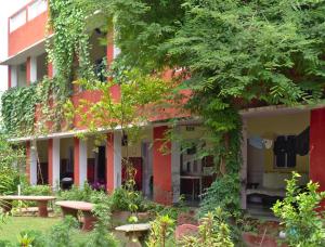 Zahrada ubytování Jungle Lodge + 21 fotografií