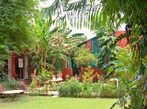 Zahrada ubytování Jungle Lodge