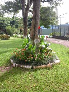 Jardín al aire libre en Ilhabela Tênis Clube