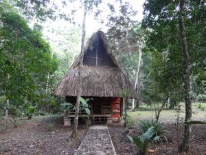 una pequeña cabaña en medio de un bosque en Tres Lagunas, Selva Lacandona, en Lacanjá