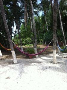 Galeriebild der Unterkunft Hotel Laguna del Cocodrilo in Tamarindo