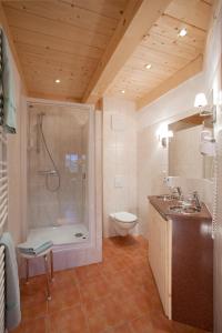 uma casa de banho com um chuveiro, um lavatório e um WC. em Hotel & Restaurant Grüner Baum - Die Grüne Oase Am Feldberg em Feldberg