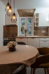 eine Küche mit einem Tisch mit Stühlen und einem Waschbecken in der Unterkunft Apartment Antea in Sinj