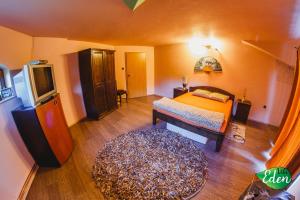 Schlafzimmer mit einem Bett, einem TV und einem Teppich in der Unterkunft Vila Eden in Porumbacu de Sus
