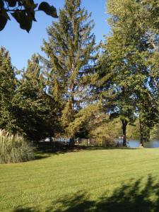 a field of green grass with trees and a lake at Le Val d'Andé chez habitant 6 lits individuels in Andé
